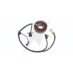 ESTATOR XRE300 13-18 FLEX